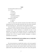 Materialinės atsakomybės sąlygos ir uždavinys 6 puslapis