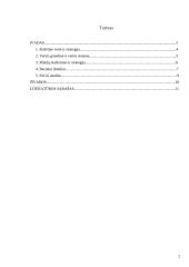 Materialinių išteklių analizė, kuriant strateginį planą 2 puslapis