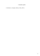 Materialinių išteklių analizė, kuriant strateginį planą 11 puslapis