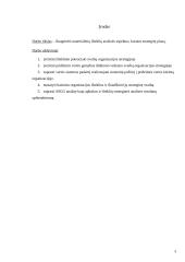 Materialinių išteklių analizė, kuriant strateginį planą 3 puslapis