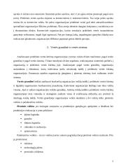 Materialinių išteklių analizė, kuriant strateginį planą 5 puslapis