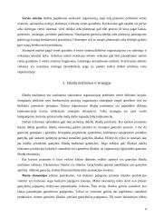 Materialinių išteklių analizė, kuriant strateginį planą 6 puslapis