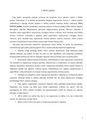 Materialinių išteklių analizė, kuriant strateginį planą 9 puslapis