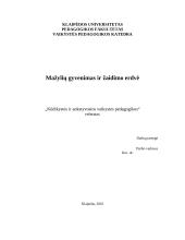 Mažylių gyvenimas ir žaidimo erdvė