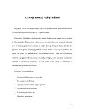 Mažylių gyvenimas ir žaidimo erdvė 11 puslapis