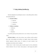 Mažylių gyvenimas ir žaidimo erdvė 12 puslapis