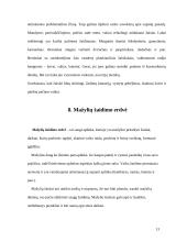 Mažylių gyvenimas ir žaidimo erdvė 13 puslapis