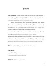 Mažylių gyvenimas ir žaidimo erdvė 3 puslapis