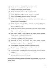 Mažylių gyvenimas ir žaidimo erdvė 5 puslapis