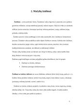 Mažylių gyvenimas ir žaidimo erdvė 6 puslapis