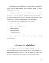 Mažylių gyvenimas ir žaidimo erdvė 9 puslapis