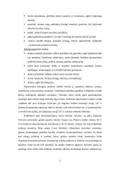 Menas ir mokslas 8 puslapis