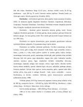 Mėsiniai galvijai Lietuvoje 5 puslapis