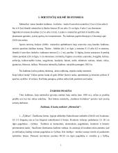 Miestučiai vaikystėje 2 puslapis