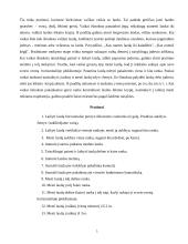 Miestučiai vaikystėje 5 puslapis