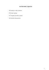 Gyventojų migracijos raiška Lietuvoje 3 puslapis