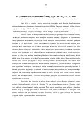 Mirties bausmė Lietuvoje bei valdžios ir visuomenės nuomonė šia tema 8 puslapis