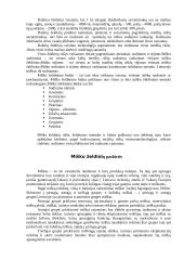 Miško želdiniai 2 puslapis