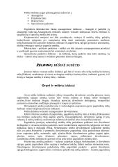 Miško želdiniai 3 puslapis