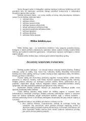 Miško želdiniai 5 puslapis