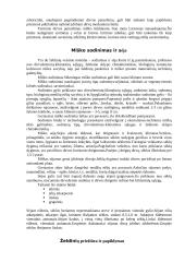 Miško želdiniai 8 puslapis