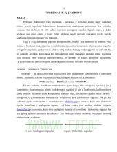 Modemai ir jų įvairovė 3 puslapis