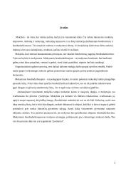 Bendradarbiavimo išnaudojimas mokantis 2 puslapis