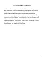 Bendradarbiavimo išnaudojimas mokantis 4 puslapis