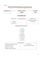 Bendradarbiavimo išnaudojimas mokantis 9 puslapis