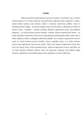 Mokymo organizavimo formos 3 puslapis