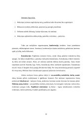 Mokymo organizavimo formos 10 puslapis