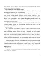 Mokymo organizavimo formų raida 2 puslapis