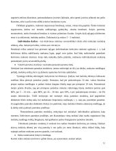 Mokymo organizavimo formų raida 11 puslapis