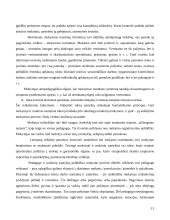 Mokymo organizavimo formų raida 13 puslapis