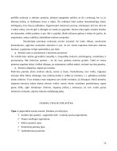 Mokymo organizavimo formų raida 14 puslapis