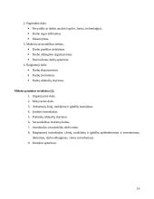 Mokymo organizavimo formų raida 16 puslapis