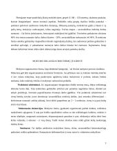 Mokymo organizavimo formų raida 3 puslapis