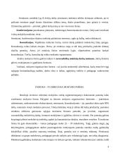 Mokymo organizavimo formų raida 4 puslapis