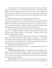 Mokymo organizavimo formų raida 10 puslapis