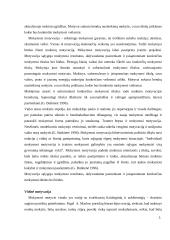 Mokymosi motyvacijos skatinimas 5 puslapis