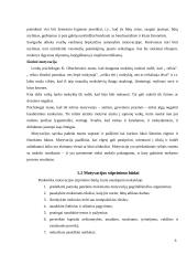 Mokymosi motyvacijos skatinimas 6 puslapis