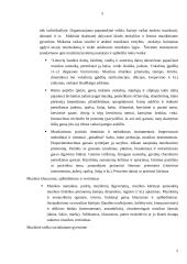 Mokinių muzikiniai gebėjimai ir jų ugdymas II klasėje 5 puslapis