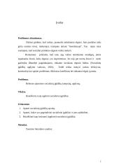 Mokinių socialinių įgūdžių ugdymas 2 puslapis