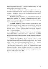 Mokinių socialinių įgūdžių ugdymas 13 puslapis