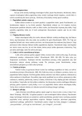 Monologinės kalbos rengimo formos 4 puslapis