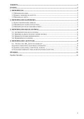 Monopolijos esmė ir monopolinės įmonės. Monopolijos reguliavimo apžvalga 2 puslapis