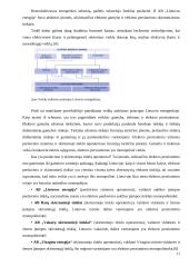 Monopolijos esmė ir monopolinės įmonės. Monopolijos reguliavimo apžvalga 11 puslapis