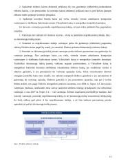 Monopolijos esmė ir monopolinės įmonės. Monopolijos reguliavimo apžvalga 13 puslapis