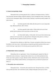 Monopolijos esmė ir monopolinės įmonės. Monopolijos reguliavimo apžvalga 6 puslapis