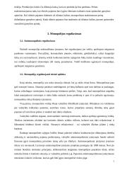 Monopolijos esmė ir monopolinės įmonės. Monopolijos reguliavimo apžvalga 7 puslapis